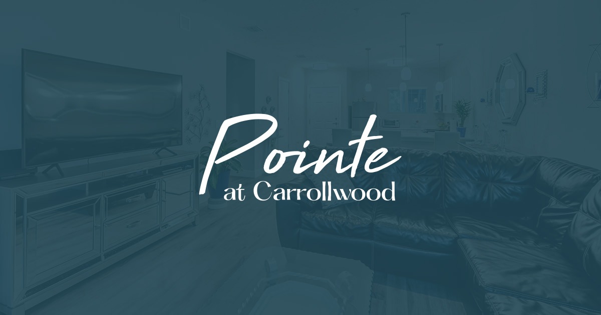 Pointe at Carrollwood